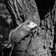 Oh no! Something is close to me, gotta hide...